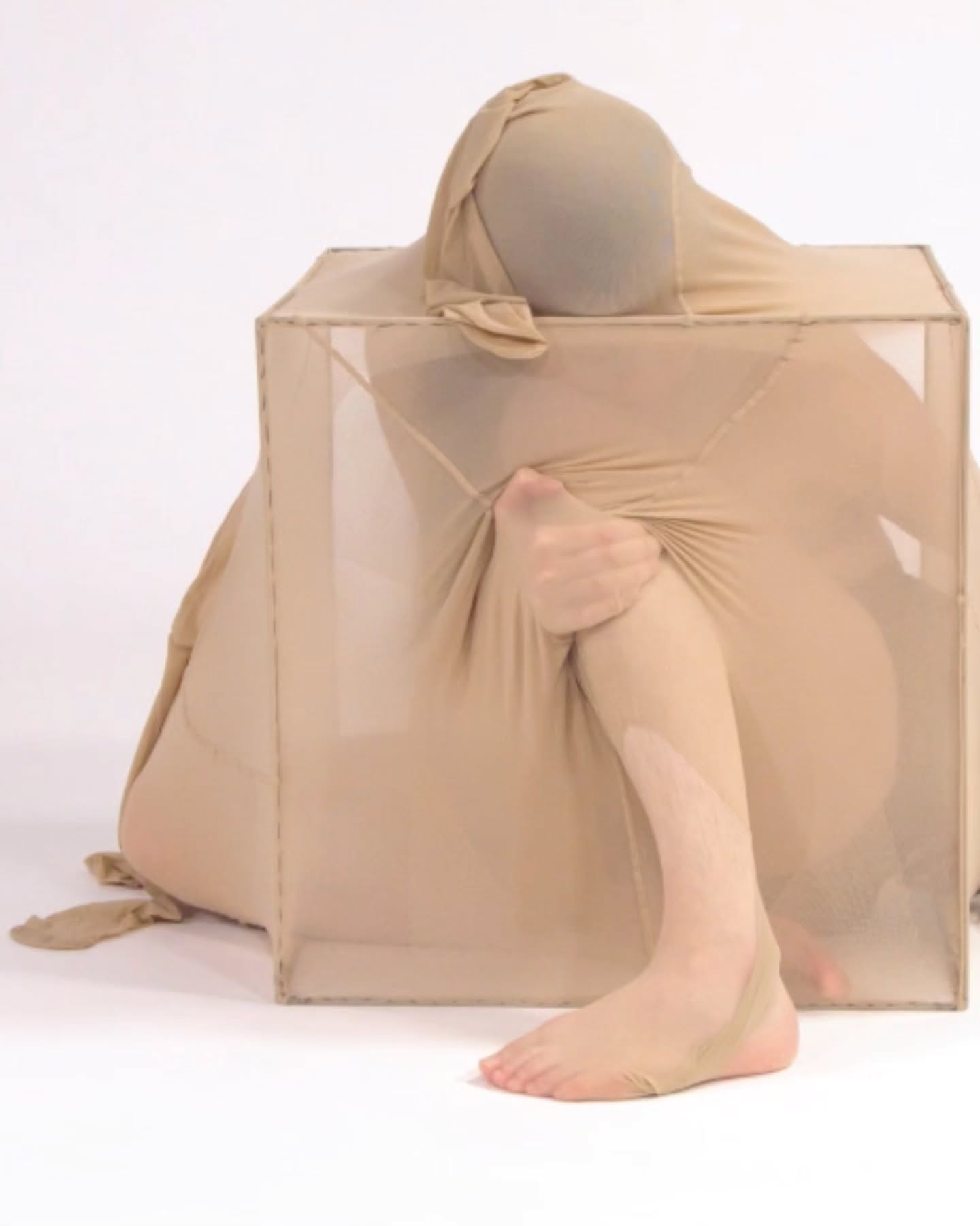 Flesh Cube